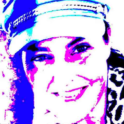 Lady Madonna