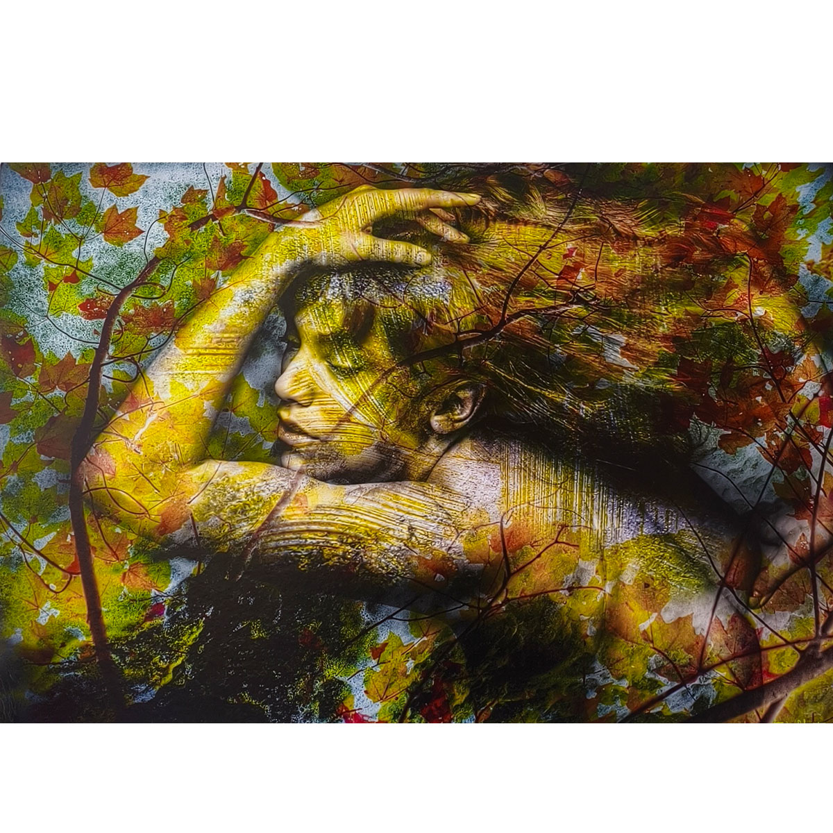 spartana-caress-of-maples